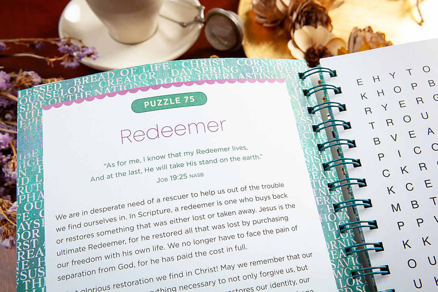 100 Meditations on the Names of Jesus (Word Search Devo)