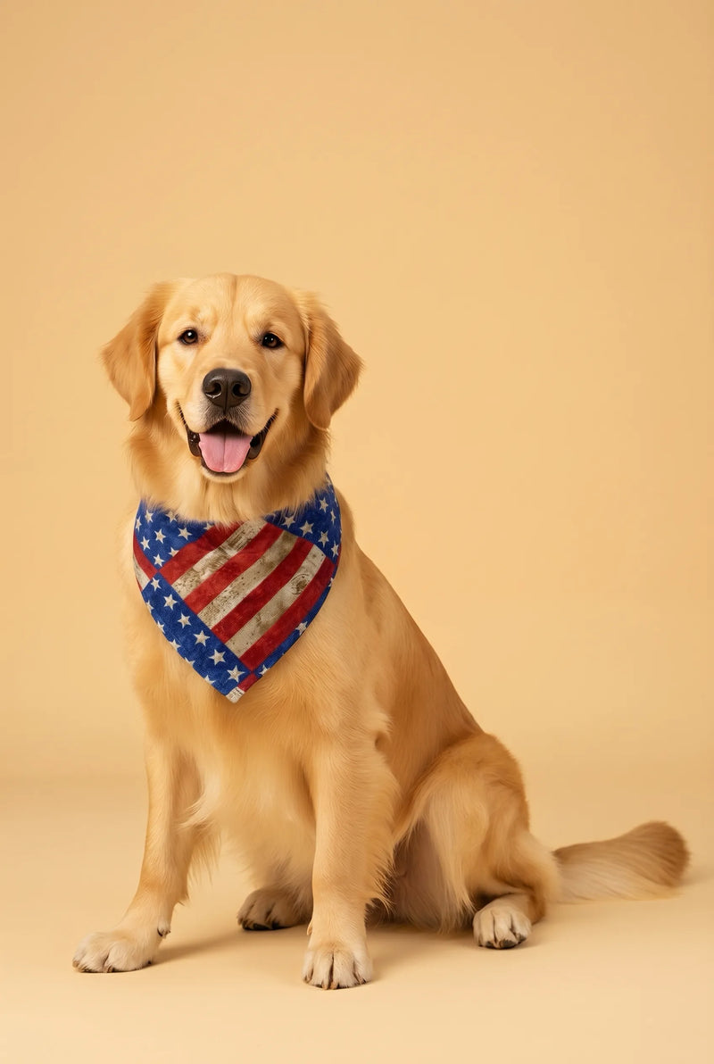 Dog bandana