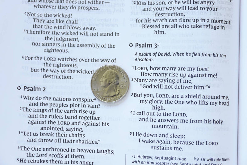 NIV, Value Thinline Bible, Large Print
