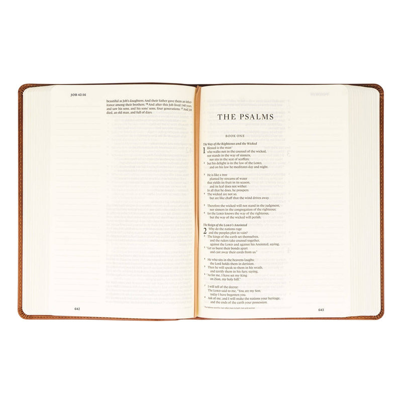ESV Large Print Journaling Bible : Sierra Theme