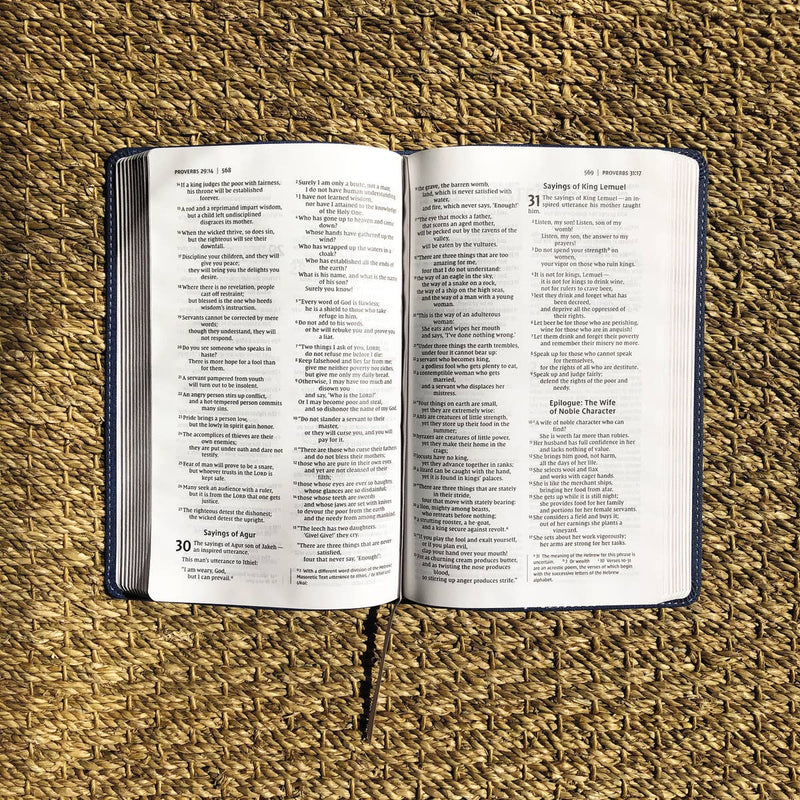 NIV, Bible For Teens