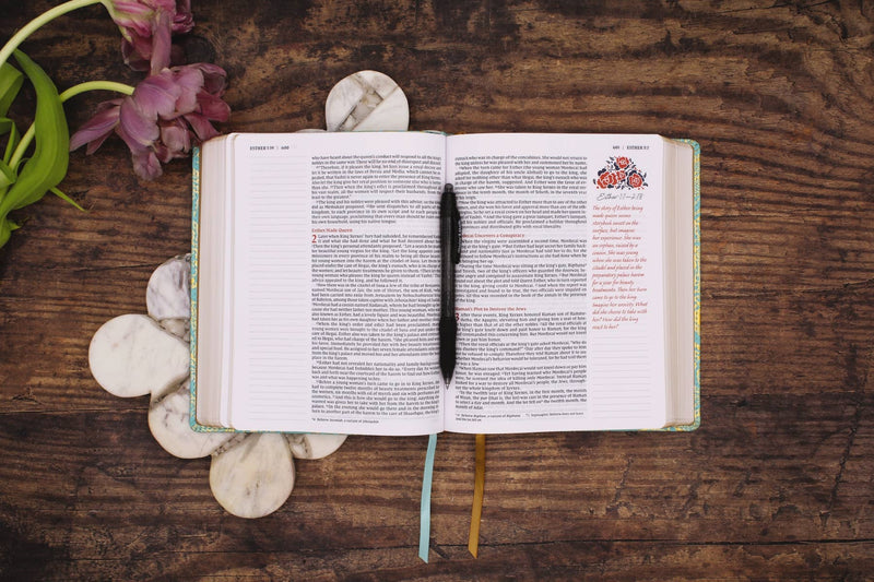 NIV Journal The Word Bible For Women