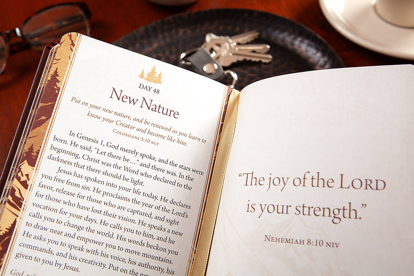 100 Days of Strength for Men (Devotional)