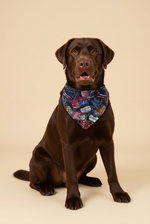 Dog bandana