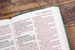 NASB Personal Size Bible Large Print Leathersoft Teal Red Le