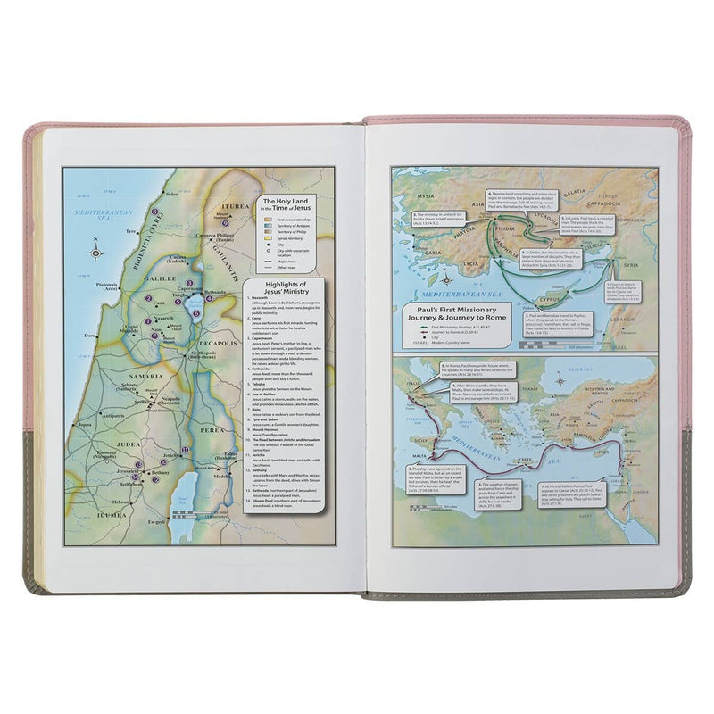 KJV Bible Super Giant Print Faux Leather, Pink/Gray