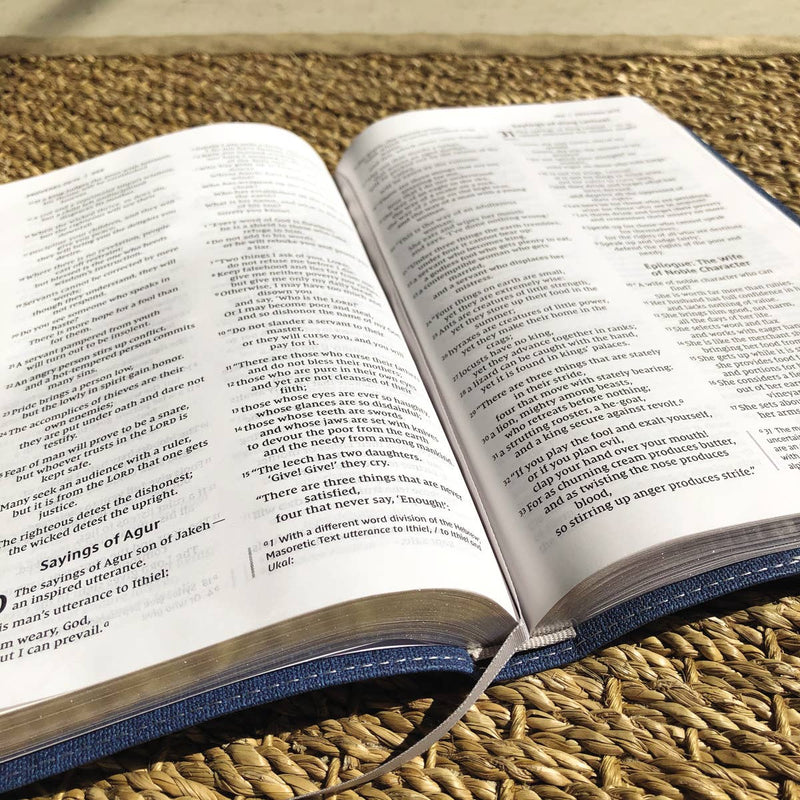 NIV, Bible For Teens