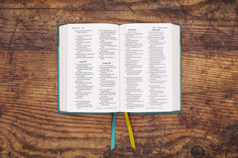 NASB Personal Size Bible Large Print Leathersoft Teal Red Le