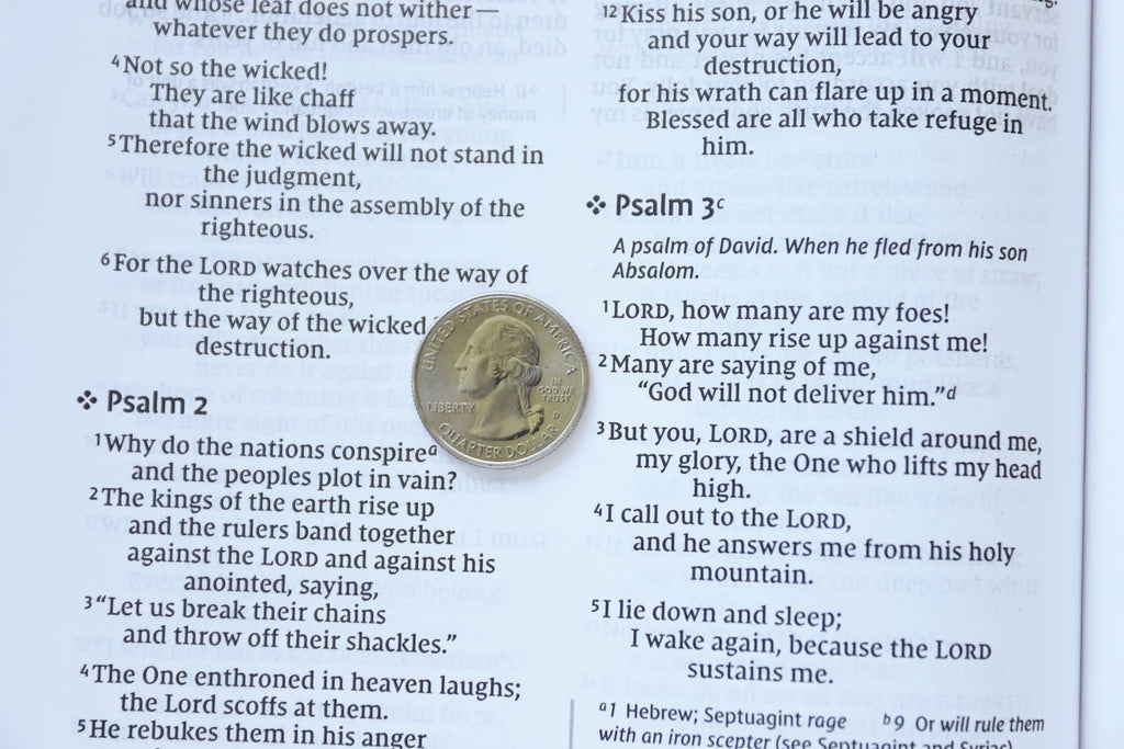 NIV, Value Thinline Bible, Large Print