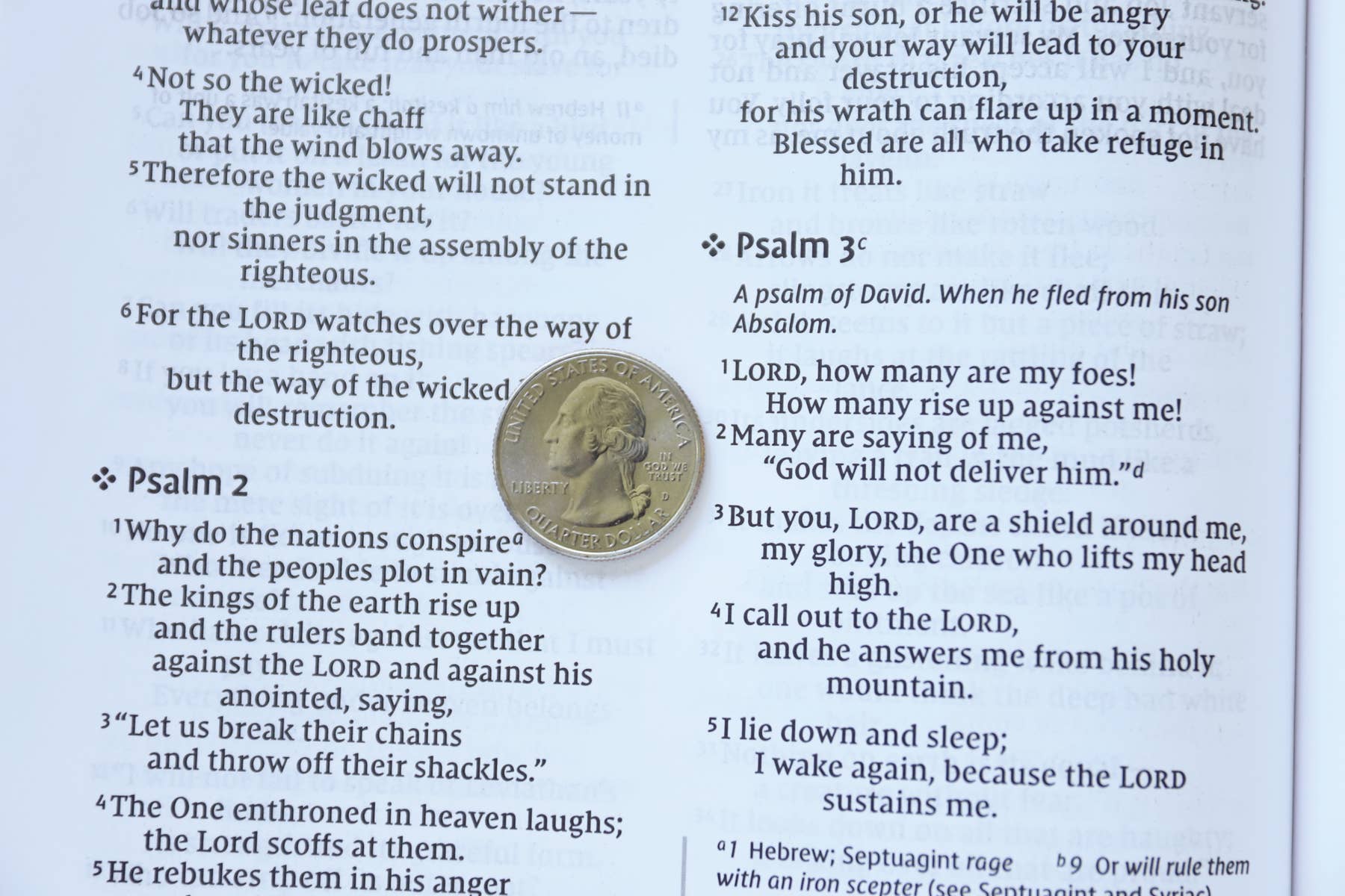 NIV, Value Thinline Bible, Large Print