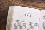 NASB Personal Size Bible Large Print Leathersoft Teal Red Le