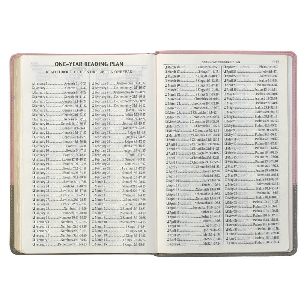 KJV Bible Super Giant Print Faux Leather, Pink/Gray