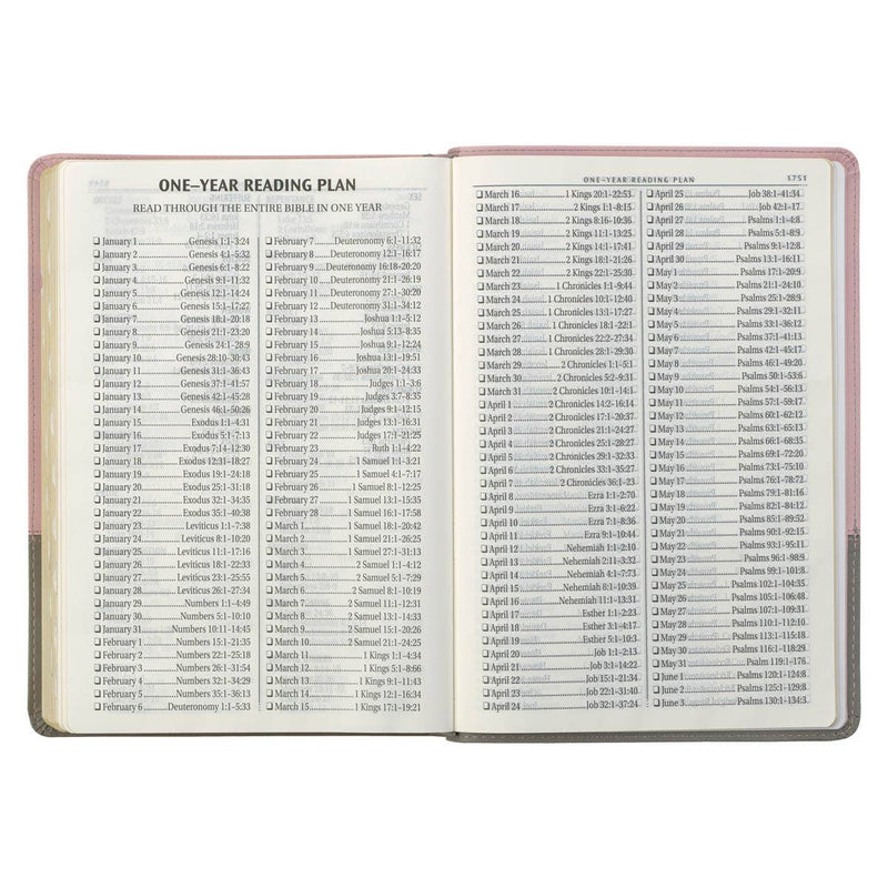 KJV Bible Super Giant Print Faux Leather, Pink/Gray