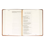 ESV Large Print Journaling Bible : Sierra Theme