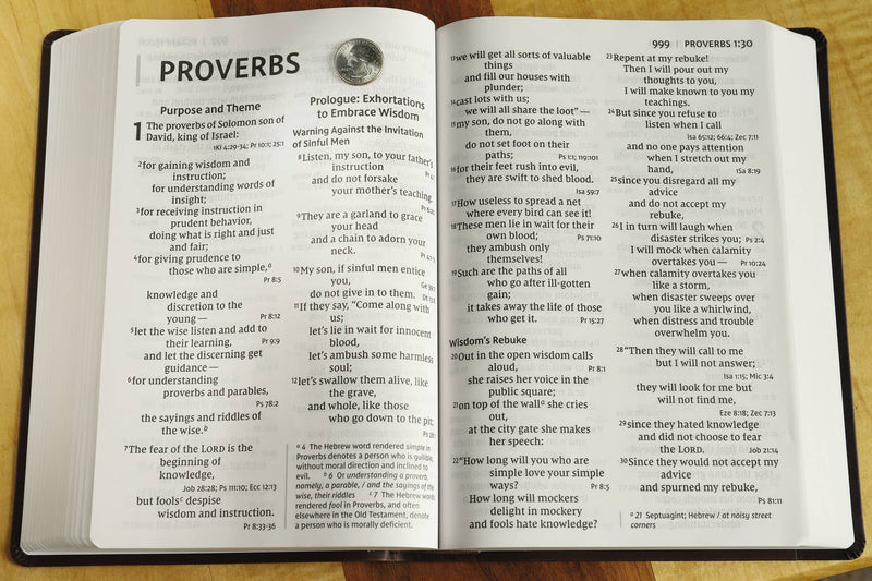 NIV, Super Giant Print Reference Bible