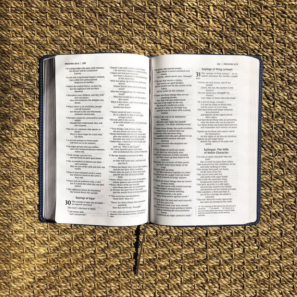 NIV, Bible For Teens