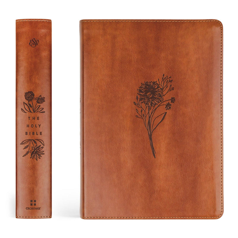 ESV Large Print Journaling Bible : Sierra Theme