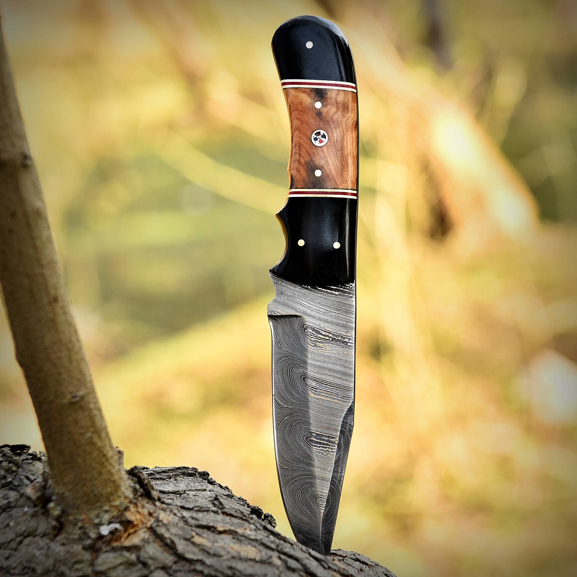 Damascus Steel Fixed Blade Hunting Knife with Wood Handle