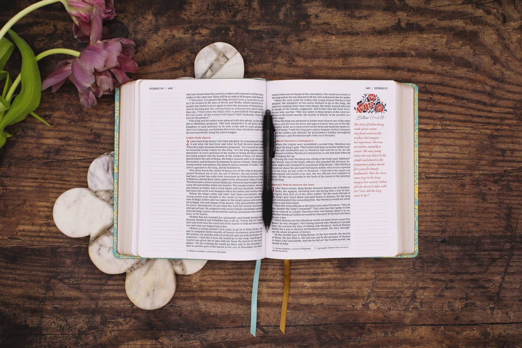 NIV Journal The Word Bible For Women