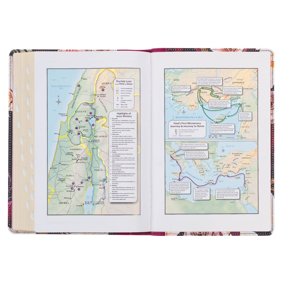 Black & Burgundy Faux Leather Large Print  KJV Bible w/tabs