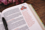 NIV Journal The Word Bible For Women