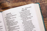 NASB Personal Size Bible Large Print Leathersoft Teal Red Le